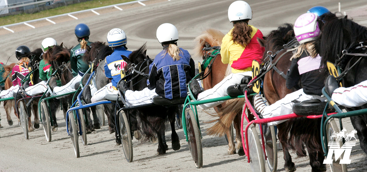 Mantorptravet - travsport