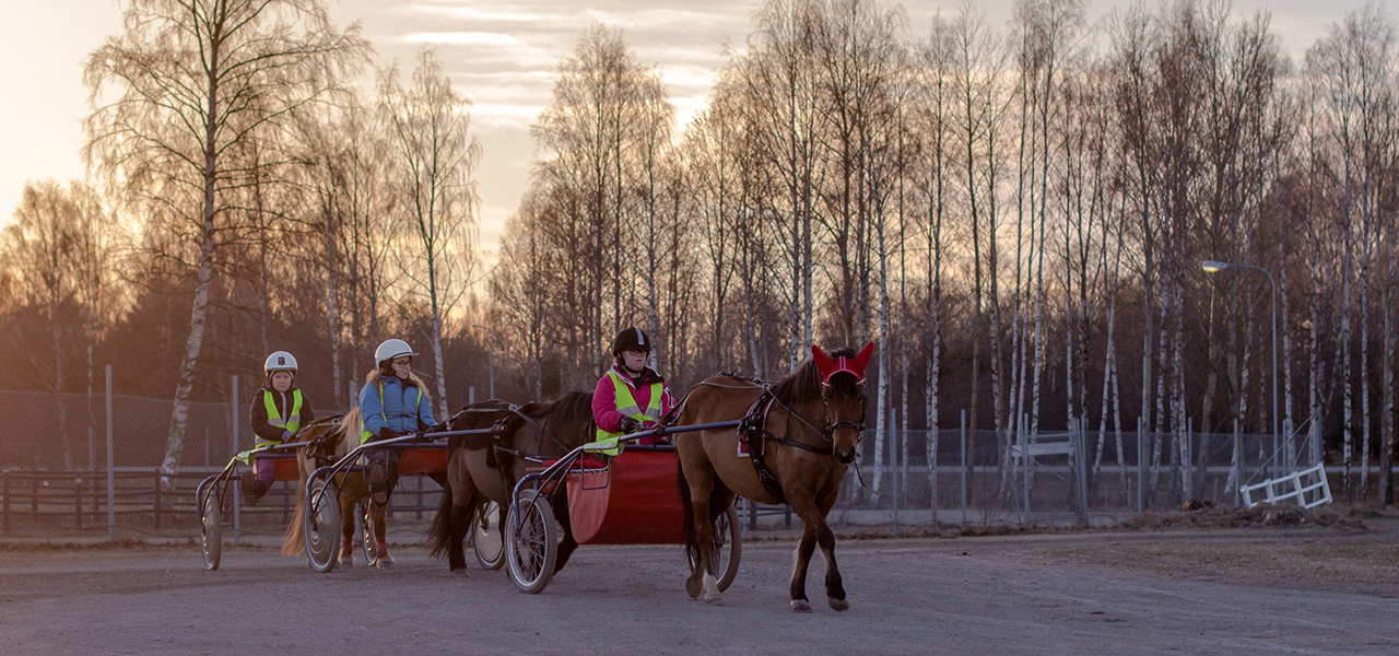 Upplev trav på mantorp travbana