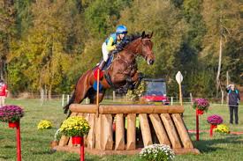 Mantorptravet