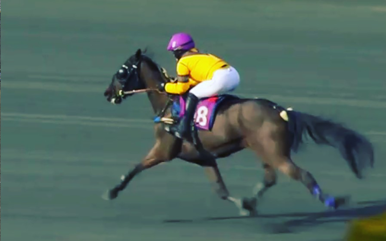 Mantorptravet