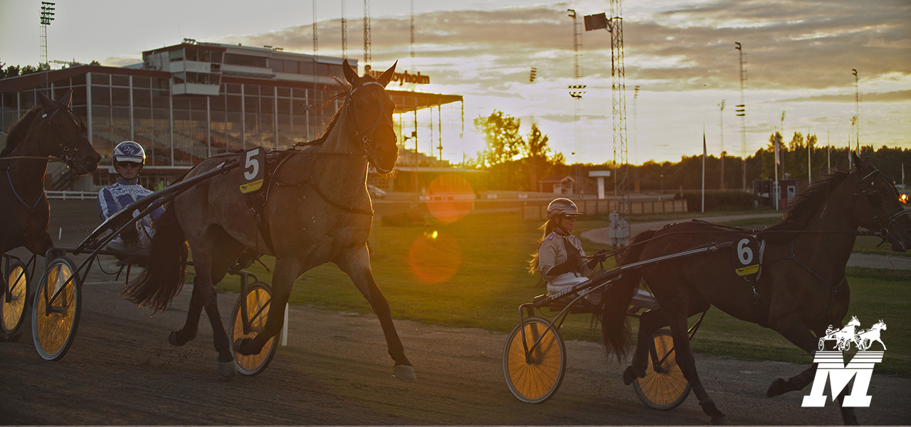 Mantorptravet