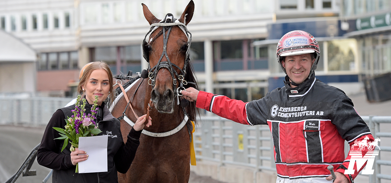 Mantorptravet