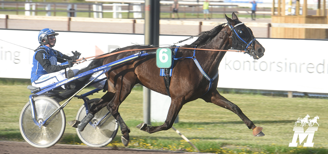 Mantorptravet