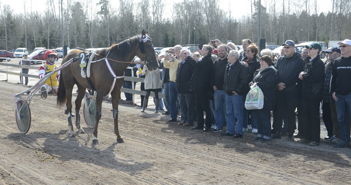 Mantorp Hästsportarena - Att äga häst