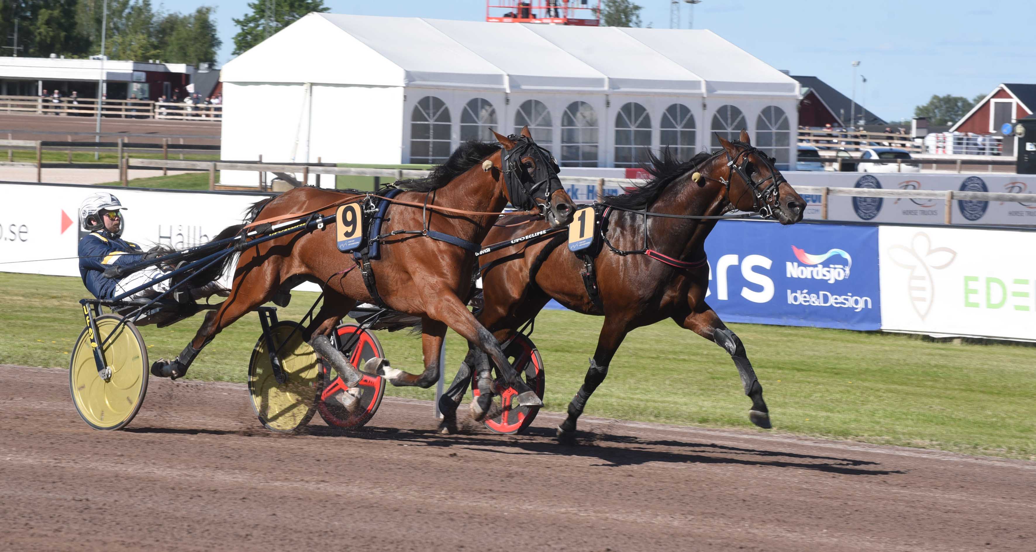 Decision Maker pulveriserade banrekordet