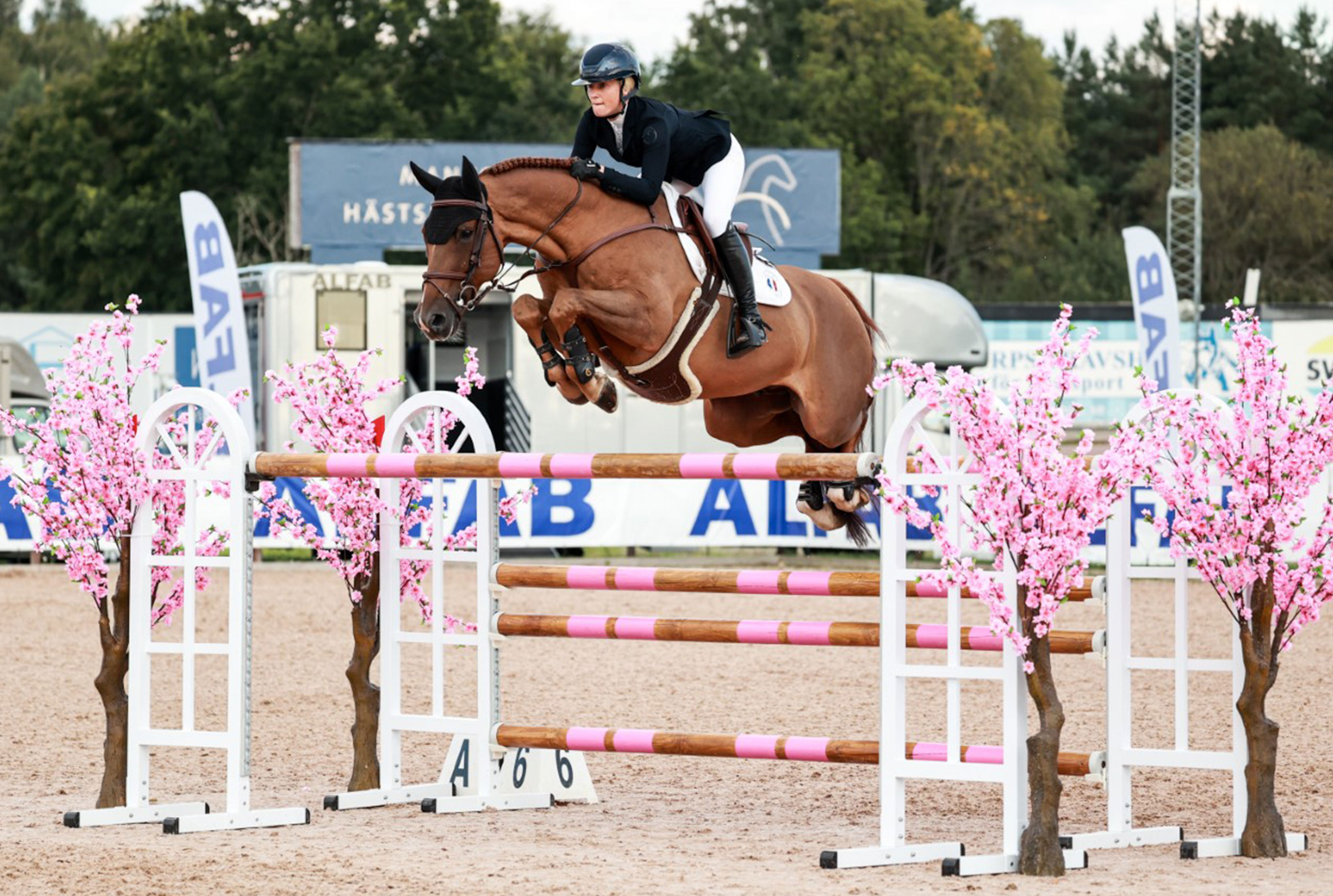 4 - 8 juni | Ridsport | Mantorp Summer Horse Show