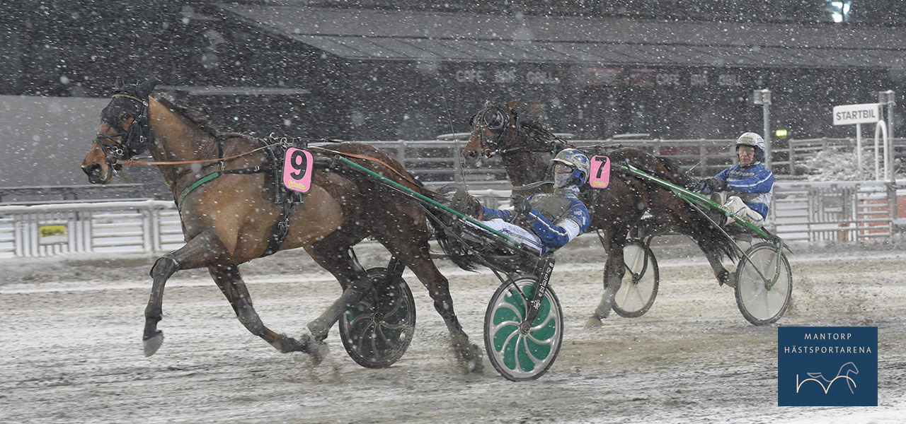 Cassius Ima starkast på Solvalla