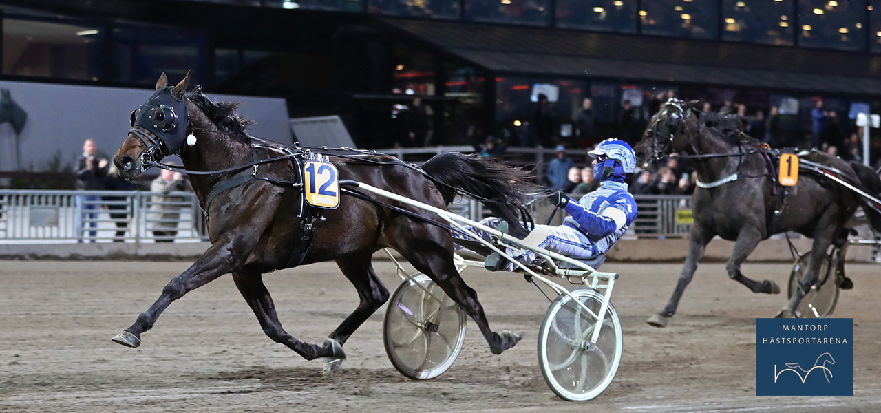I fin stil sprintar Best Ofdream Trio undan till en lätt seger i bronsdivisionens STL-final på Solvalla i fjol. Foto: Maria Holmén / TR Bild. Kim Eriksson kör i årets Elitlopp