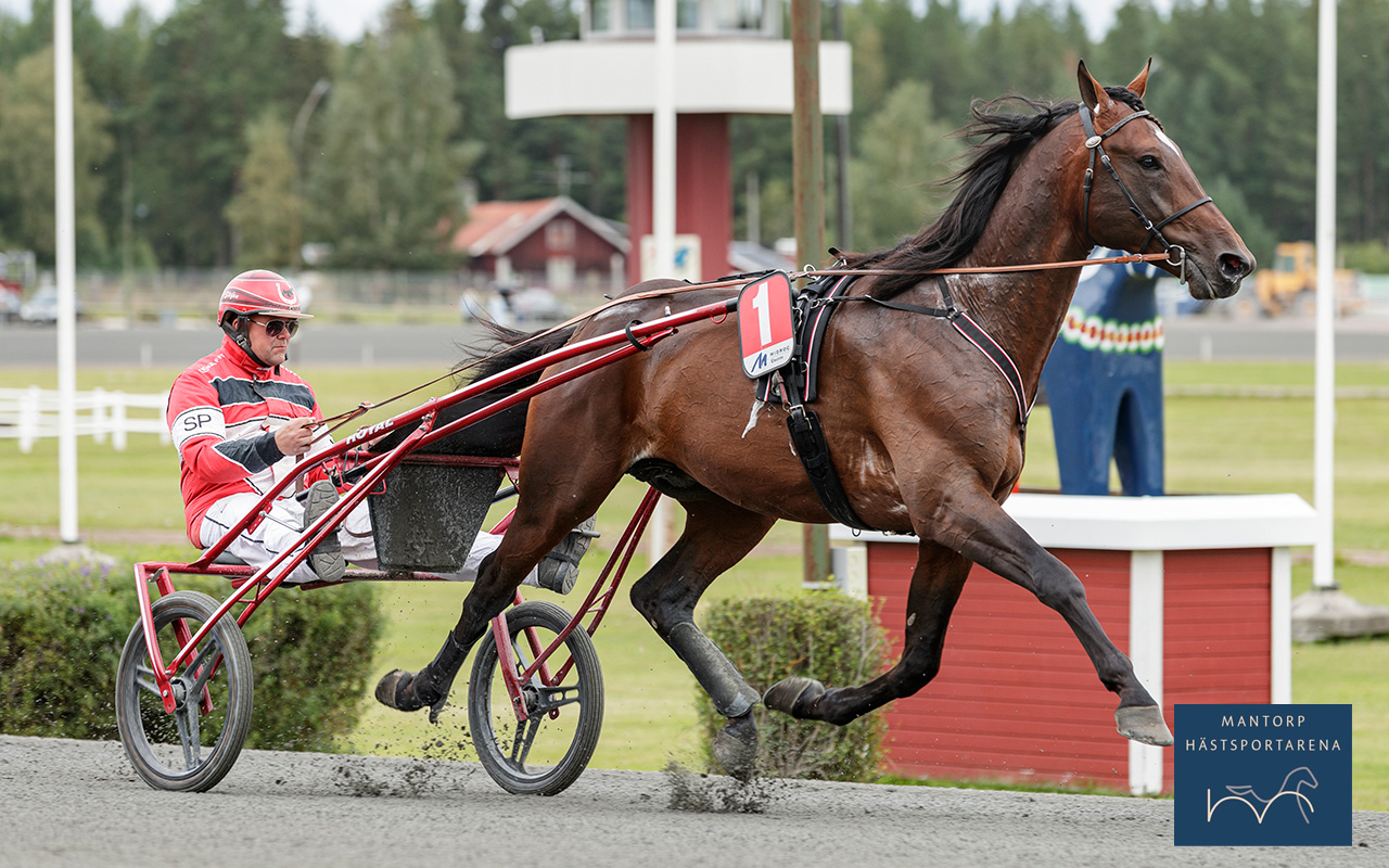 Comes With Age finaltvåa