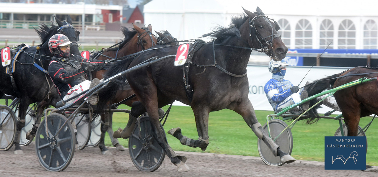 Skräll fällde spelarna