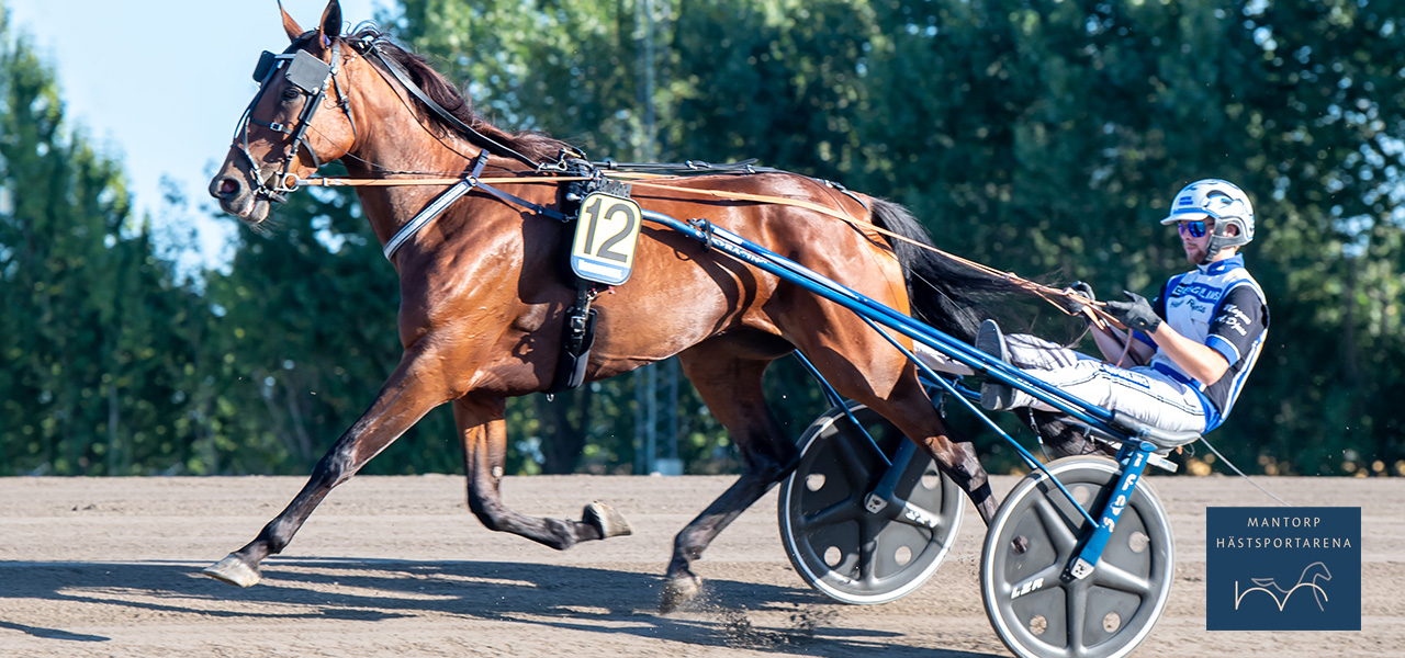 Nya hästar till Mantorp