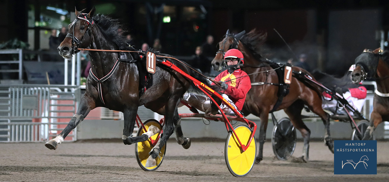 Iznogoud Am missar finalen