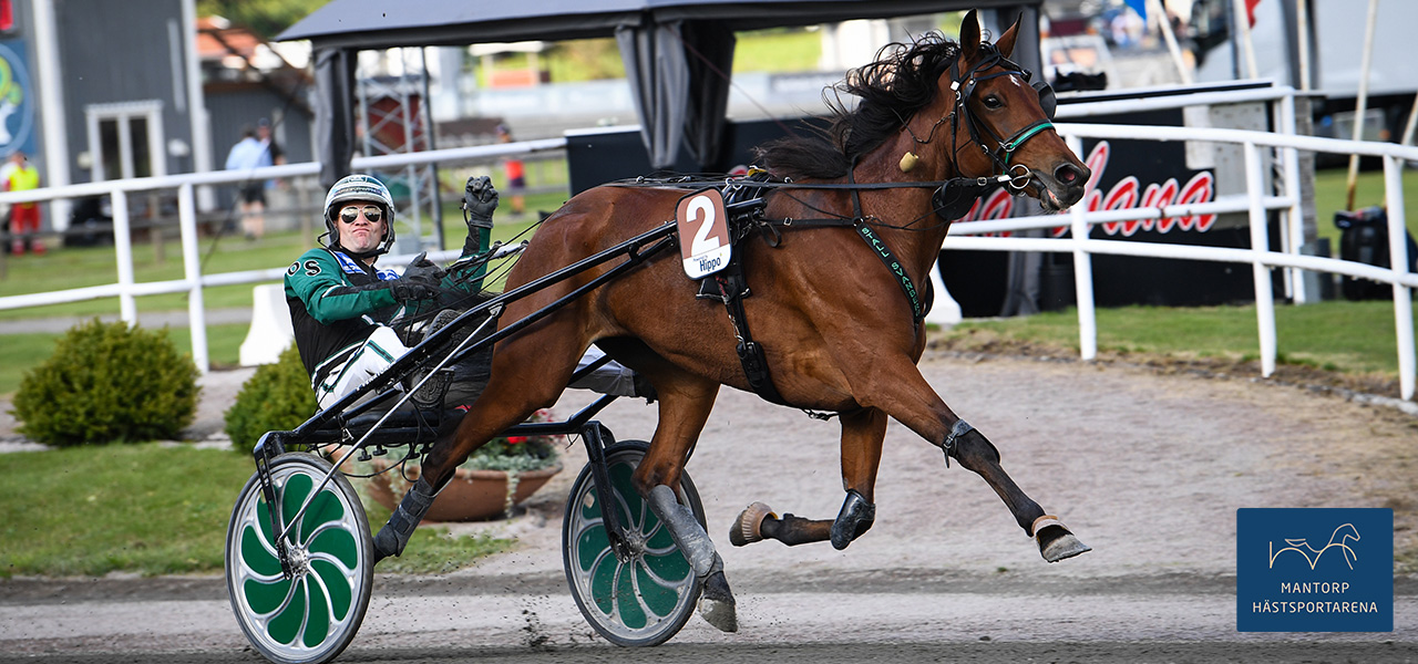 Jannah till semifinal i Breeders Crown