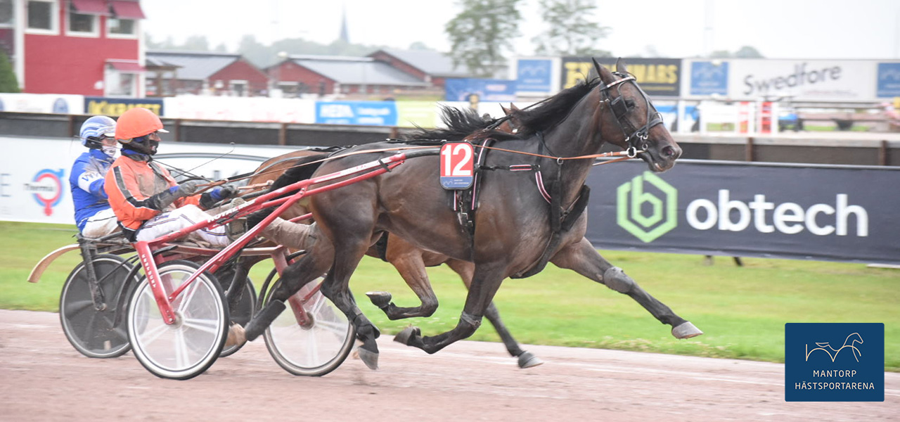Största överraskningen inom V86-spelet var när hemmahästen Joe Dalton segrade i den inledande avdelningen. Drygt 30 ggr insatsen delade Stefan P Petterssons fyraåring ut i vinnarodds. Foto: Magnus Strömsten. Dancer Brodde är Derbyfavoriten!