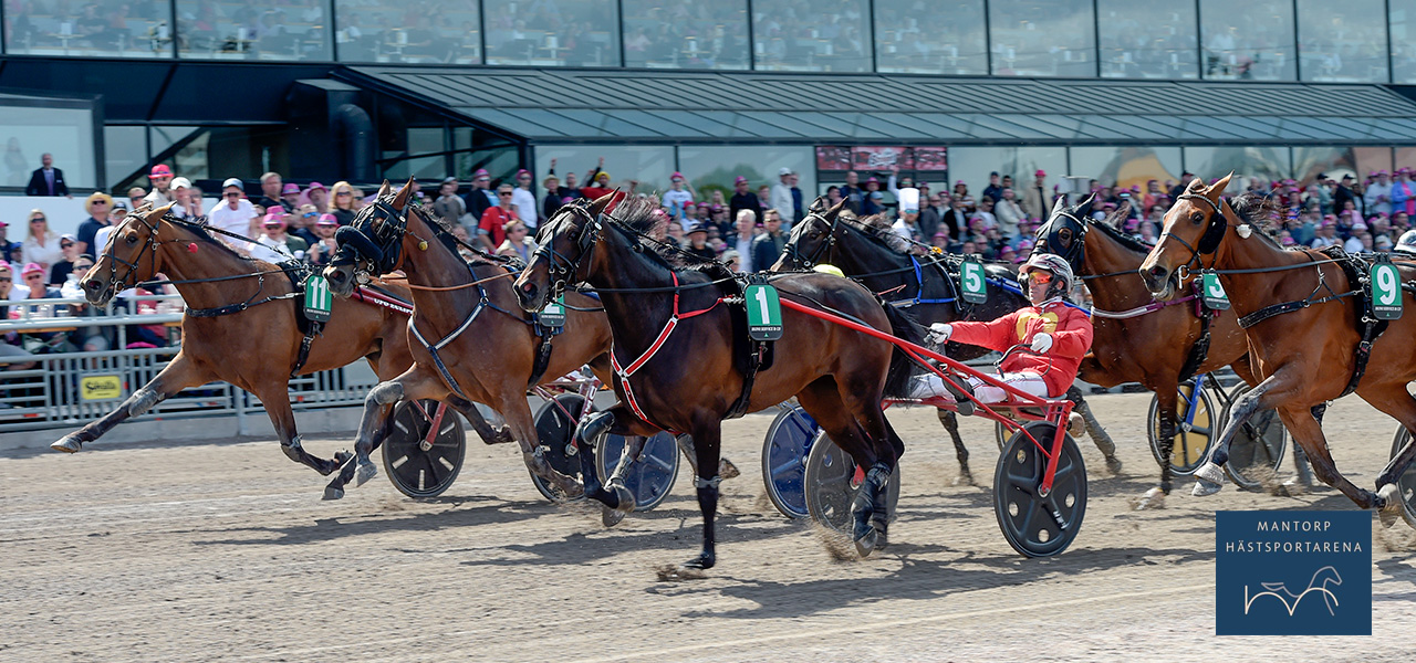 Kitty Hawk-Dexter Dunn (nr 1) hann nästan undan till seger i finalen för treåriga ston. Andraplatsen var värd 300.000 kr. Foto: Lars Jakobsson / TR Bild. 300.000 kr till Kitty Hawk