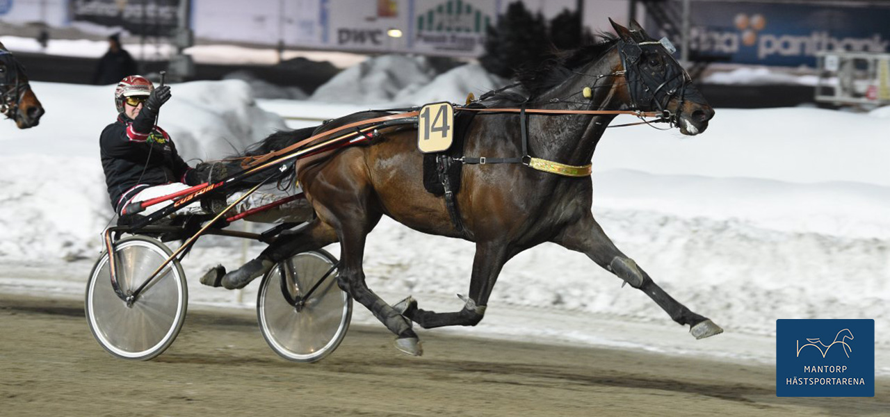 Årets första - Speedy Cash Vicane