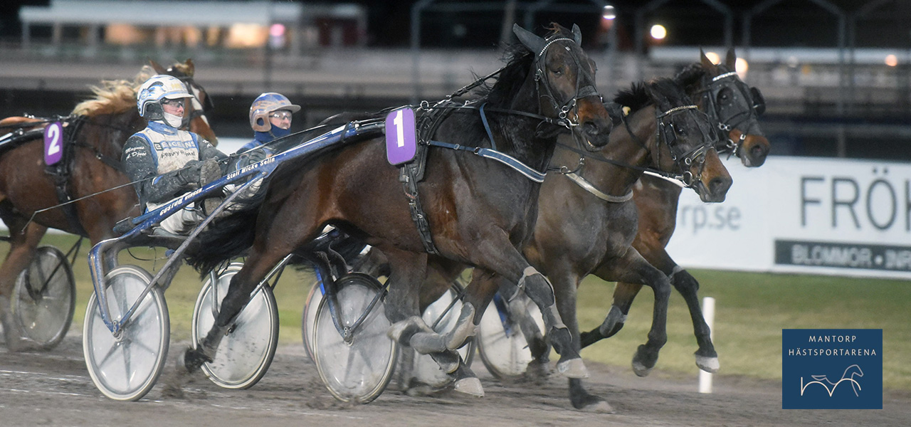 Teanie vinner här sitt första sprinterlopp, på Mantorp i februari. Andra segern på kort distans kom igår på Örebrotravet med Christel Berntsson i vagnen. Foto: Magnus Strömsten. Teanie vann på nytt rekord