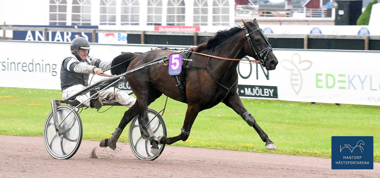 Första kusksegern tog Jan Gustavsson, med egentränade Yatzy Töll. Men det blev stenhårt sista biten. Ett huvud blev segermarginalen. Foto: Magnus Strömsten. Fyra hemmasegrar!