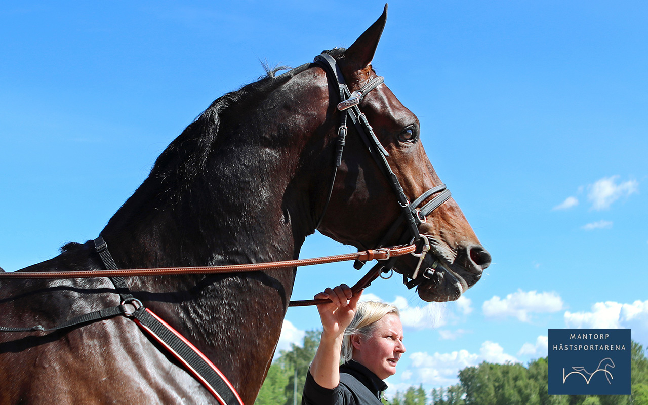 Två svenskhopp i Kymi GP