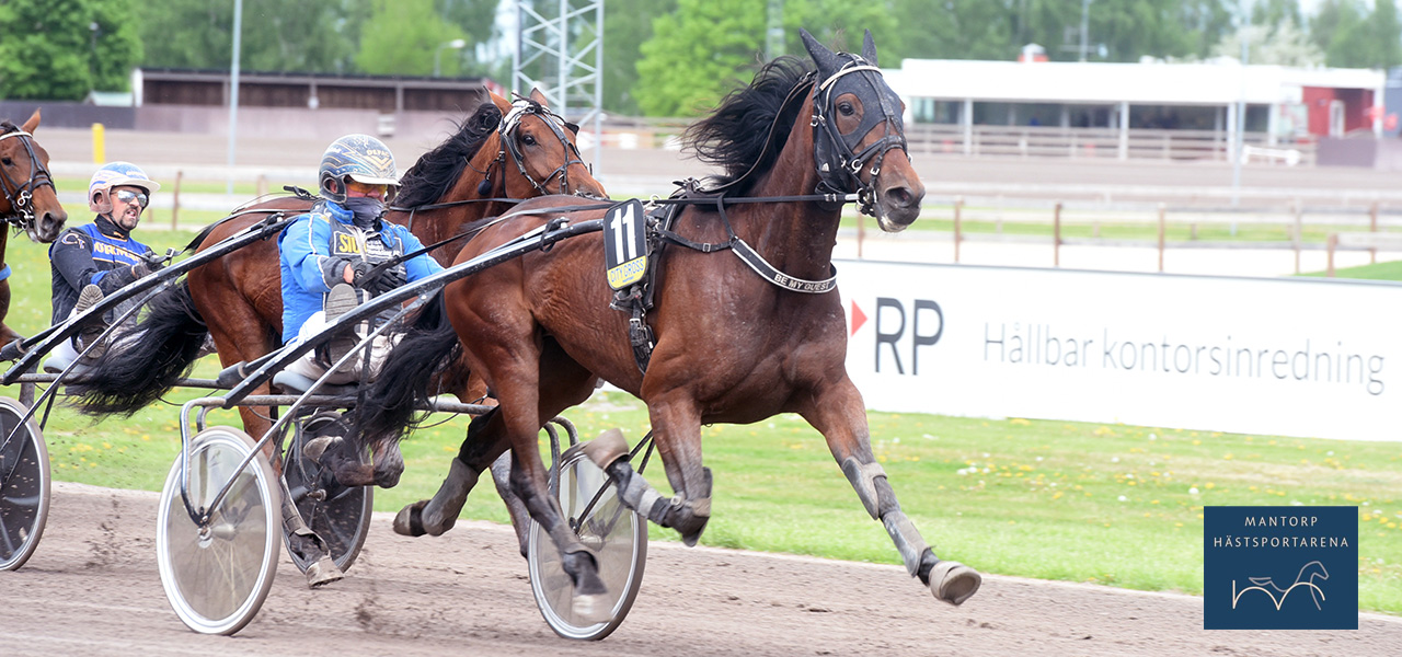 Värd en vinst tyckte körsvennen