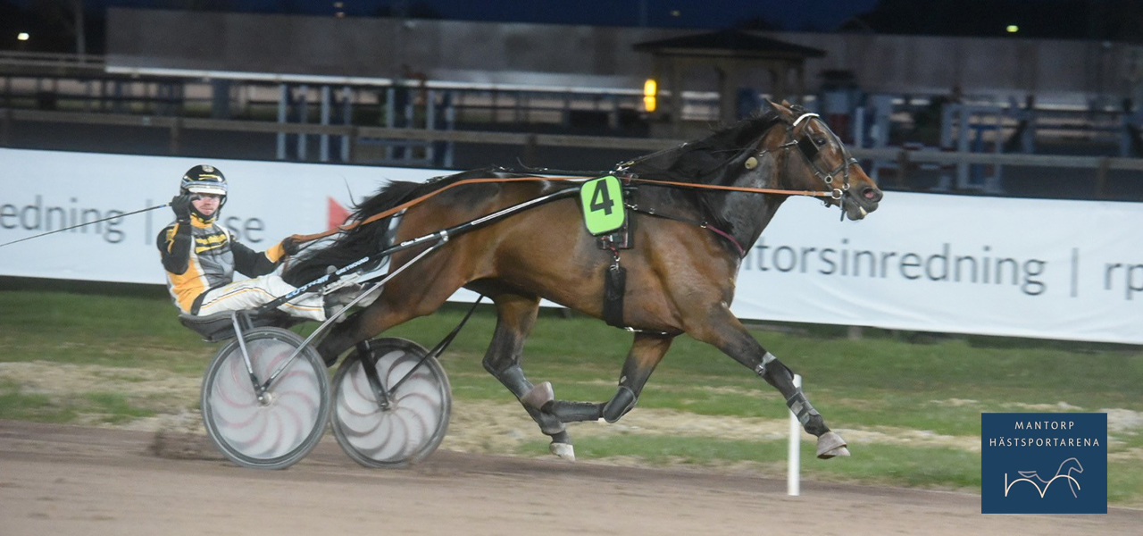 Ungt och gammalt på Mantorp