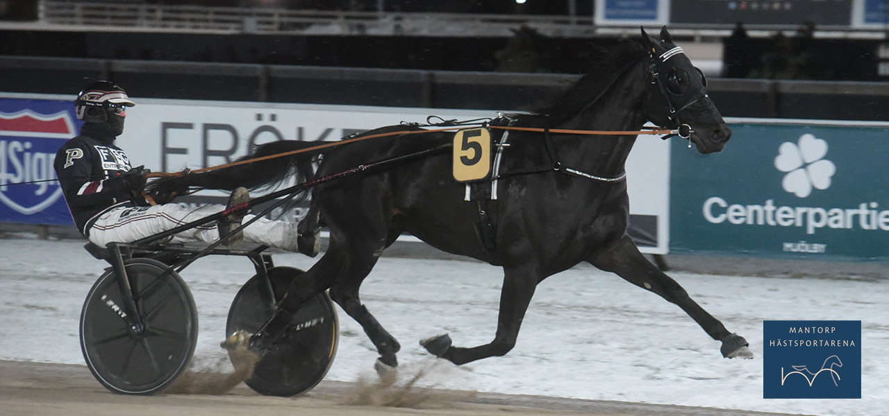 Tre segrar blev det för Stefan Persson igår vid GS75-tävlingarna. Läckre Four Guys Dream hade uppvisning och vann Sture Lindströms lopp överlägset från ledningen. Bild: Magnus Strömsten. Trippel för Stefan Persson