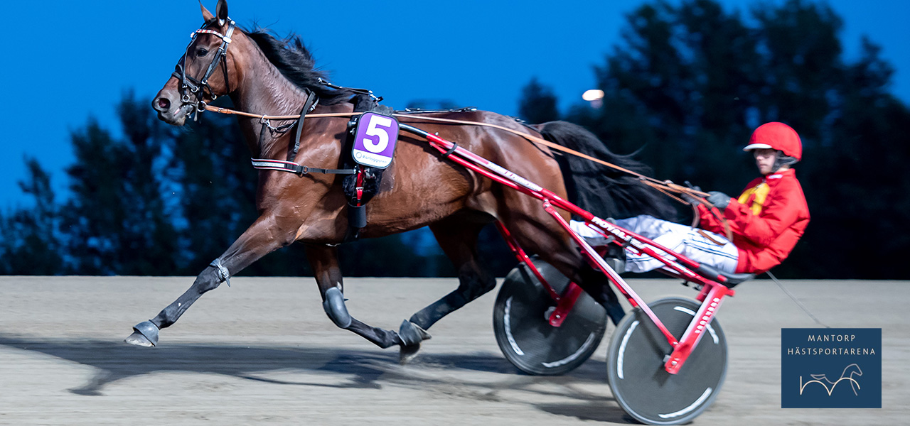 Hall Of Am i Derbystoet på söndag