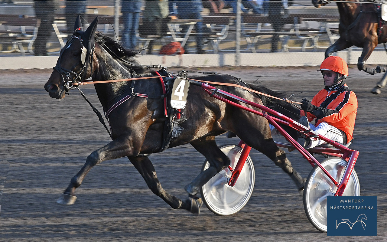 Stefan etta och fyra i Breeders' Crown