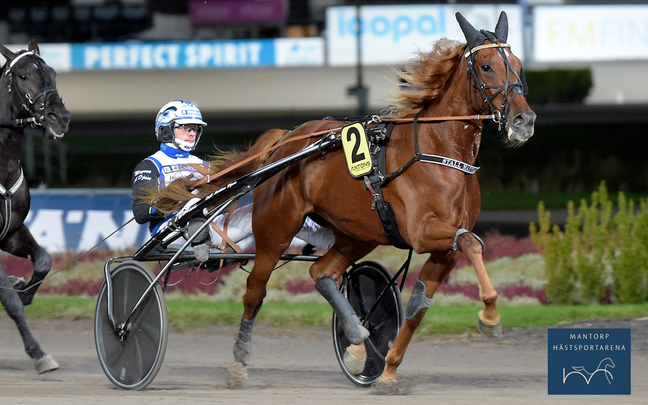 En uppfödarseger och en finaltvåa