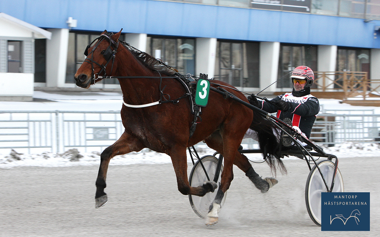 Seger direkt för McGarret