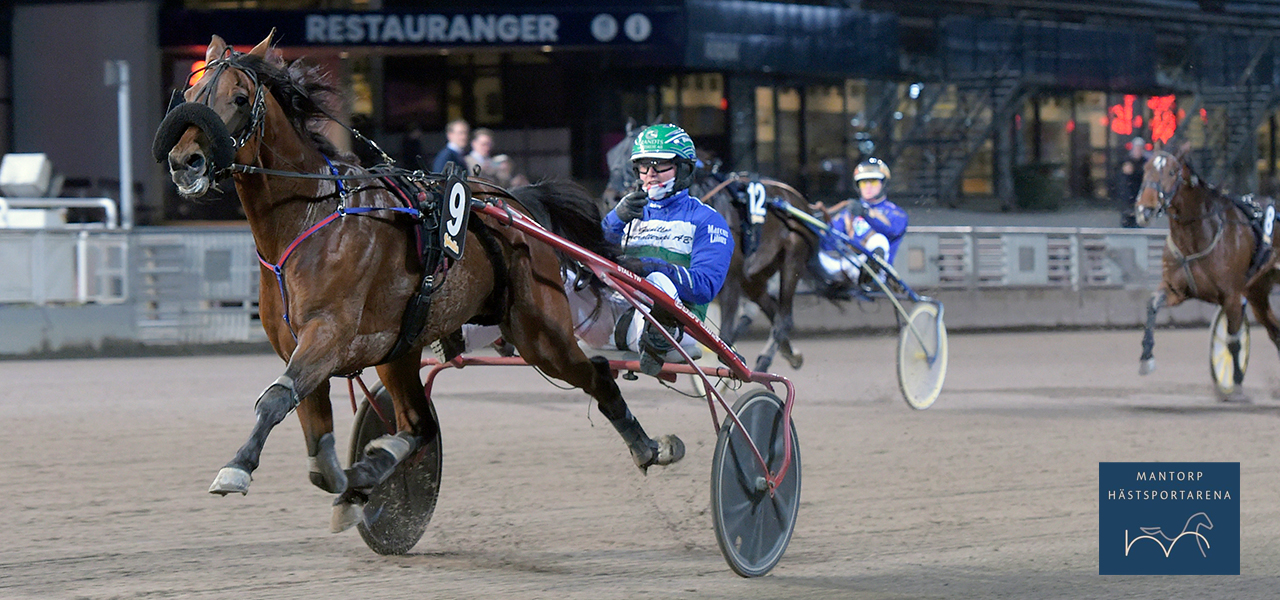 Fyrfaldigt grattis Tomasz