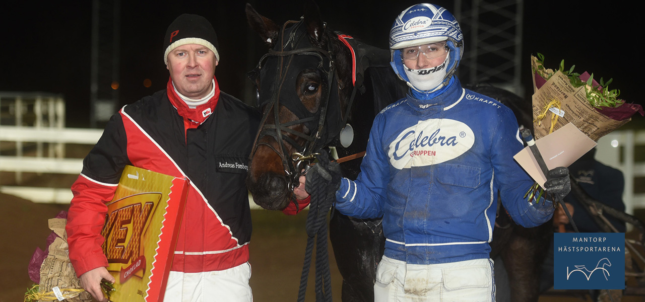 Persos Otello vinnare av årets upplaga av Stayerlunken. Tränaren Andreas Forsberg och kusken Rikard N Skoglund. Bild: Magnus Strömsten. Persos Otello var starkast