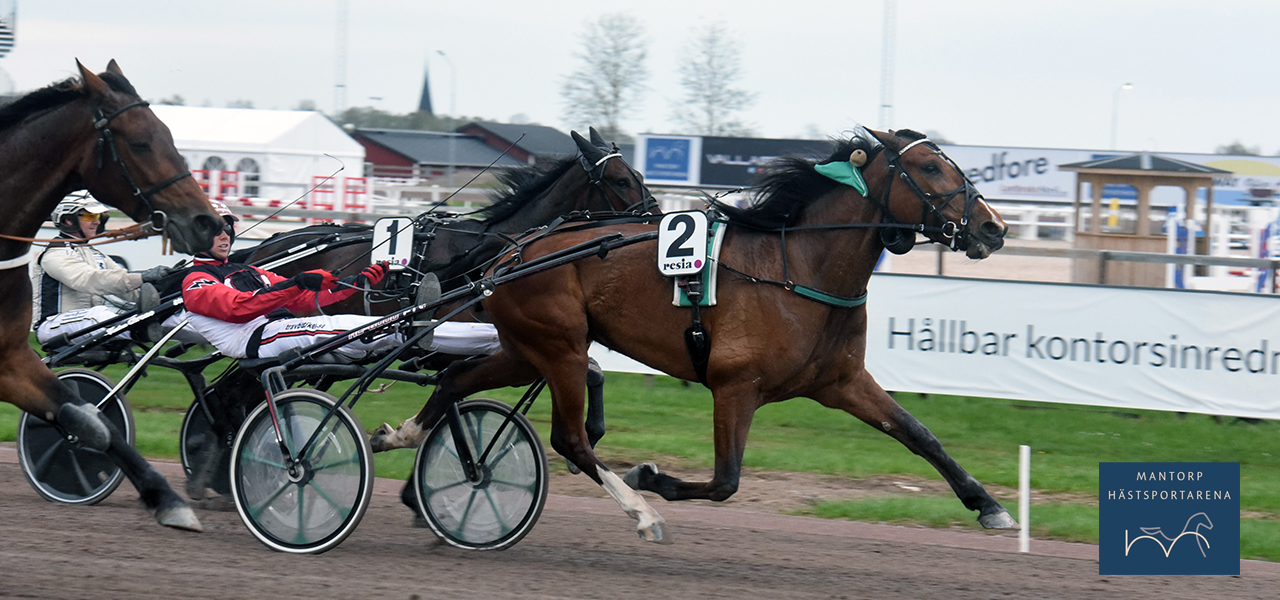 Hemmahästar visade vägen