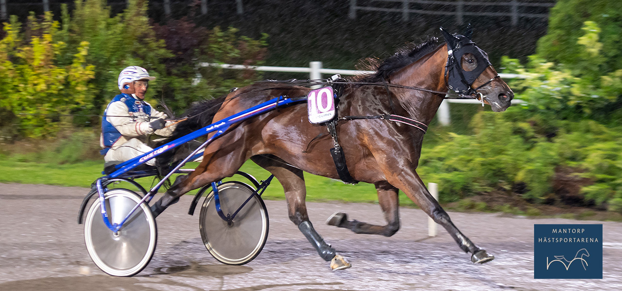 Ryssebo La Reine en vinnare igen! Här på Kalmar med Peter Ingves. Foto: Mikael Rosenqvist/TR Bild.