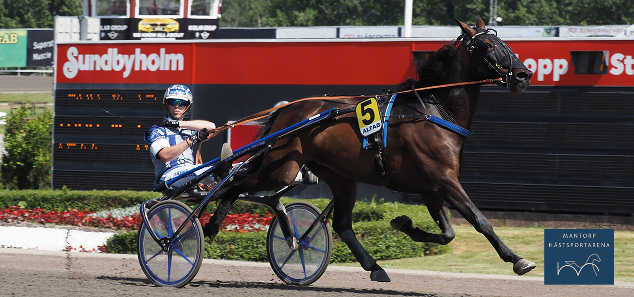 Kim Eriksson vinner med Speedy Cash Vicane och tränar på segergesten. Foto: Kurt Einevåg.