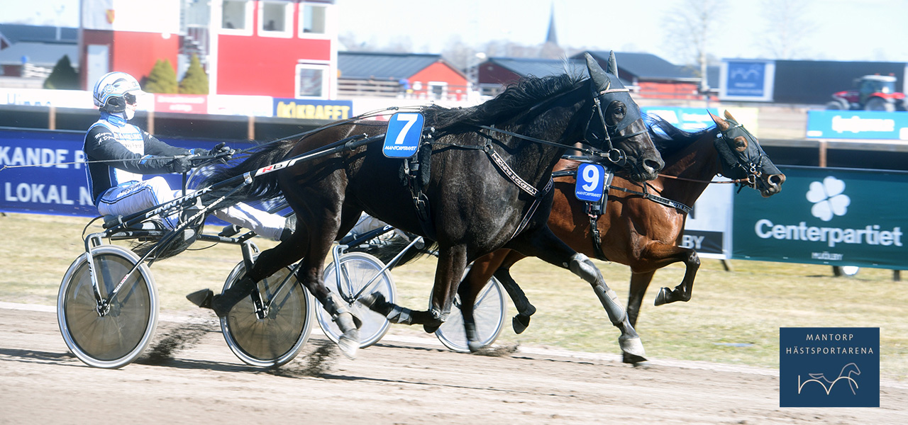 Storkuskarna dominerade!