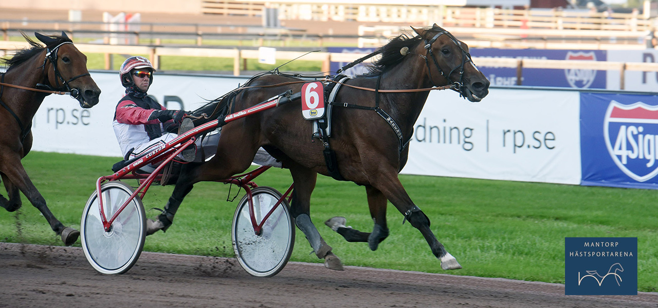 Ny tränare - Tobias J Gustafsson