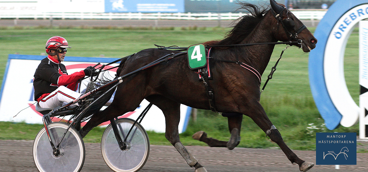 Verrazano Du Chene tar första segern i nionde starten. Segermarginalen tio längder! Bild: Foto Tarzan