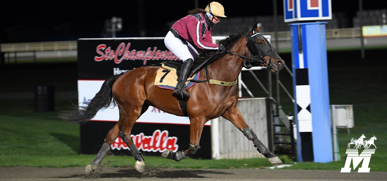 North Star Navi vann enkelt i montédebuten för Annelie Götesson. Foto: Malin MVA Foto 0703974385 Tre segrar på Axevalla