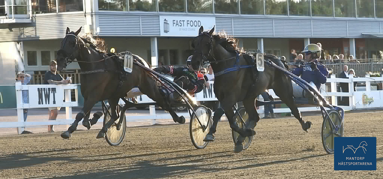 Anna Mae och Micael Stjernström, passerar Björn Goop och Dimension Trot kort före mållinjen. Foto: Kurt Einevåg. Anna Mae skrällvann