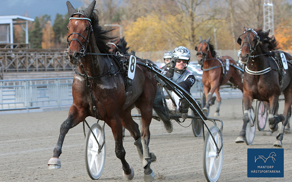 Blyger, allt annat än blyg!