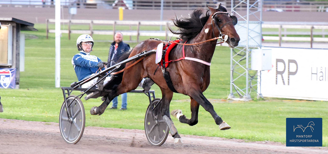 För andra året i rad segrar Magnus A Djuse i Sprinterkrevaden på segertiden 1.10,6a/1640 m. I fjol Sorbet, nu Charmant de Zack. Foto: Magnus Strömsten. Charmant de Zack en välförtjänt vinnare!