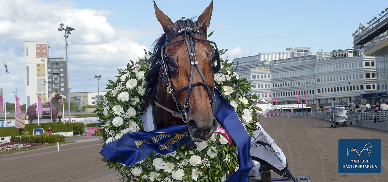 Epsom As segerdefilerar på Solvalla under Elitloppshelgen 2023. Hästen vann då ett Breeders Course-lopp med en miljon kronor i förstapris. Foto: TR Bild / Lars Jakobsson. Kulletta nyförvärv hos Stefan