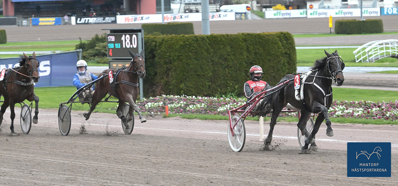 I ohotad stil vann Get Gas med Johanna Lind i sulkyn på Solvalla. Foto: TR Bild / Lars Jakobsson. Johanna och Jakob vann lopp