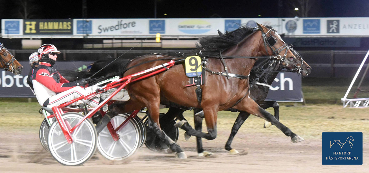 Favoriterna föll, Handsome Man debutvann