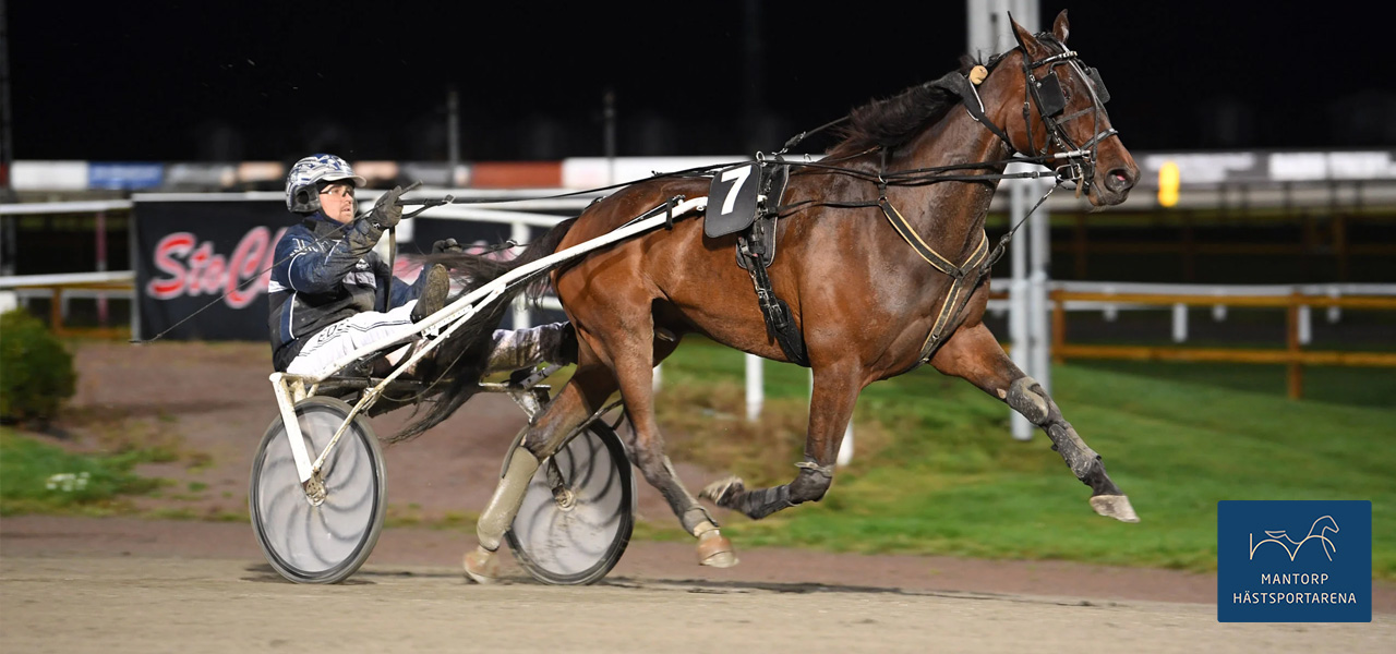 Jakob Smith och Marcelo Vieira var ensam på målbilden i tisdags på Axevalla. Årets sjätte seger. Foto: MVA Foto. Segerkusk, ny B-tränare – snart proffstränare?