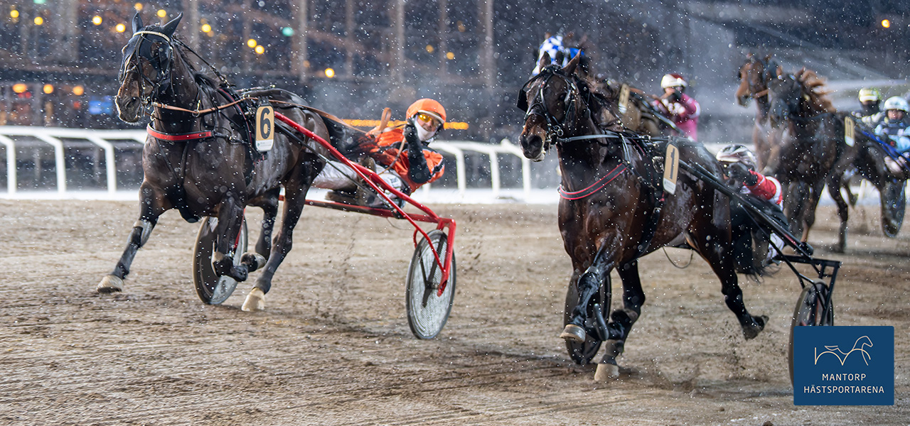 Stark start för Stefan