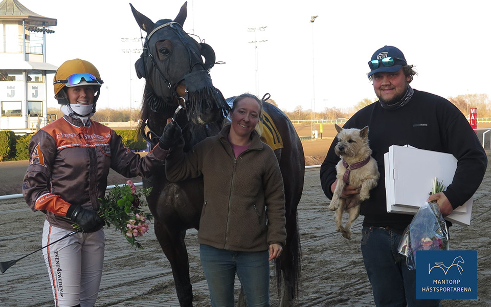 I vinnarcirkeln i lördags på Jägersro. Julia, King Mr Theo, Jessica, hunden Mily i husse Jespers famn. Foto: Tom Göransson. King Mr Theo blev miljonär, med ett nytt rekord