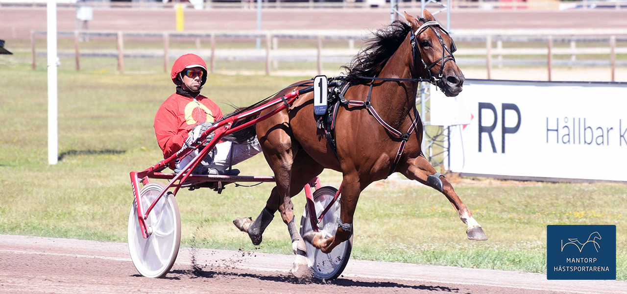 Spets i en ogiltig start och även spets i den giltiga. Det var debuterande Mahakalas segerrecept när hon segrade på Mantorp Hästsportarena. Foto: Magnus Strömsten. Bara en favorit höll!
