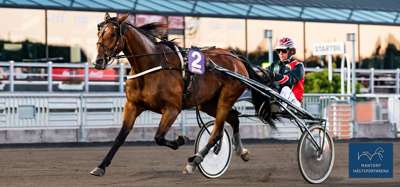 Se upp för Stjernström på Visbytravet